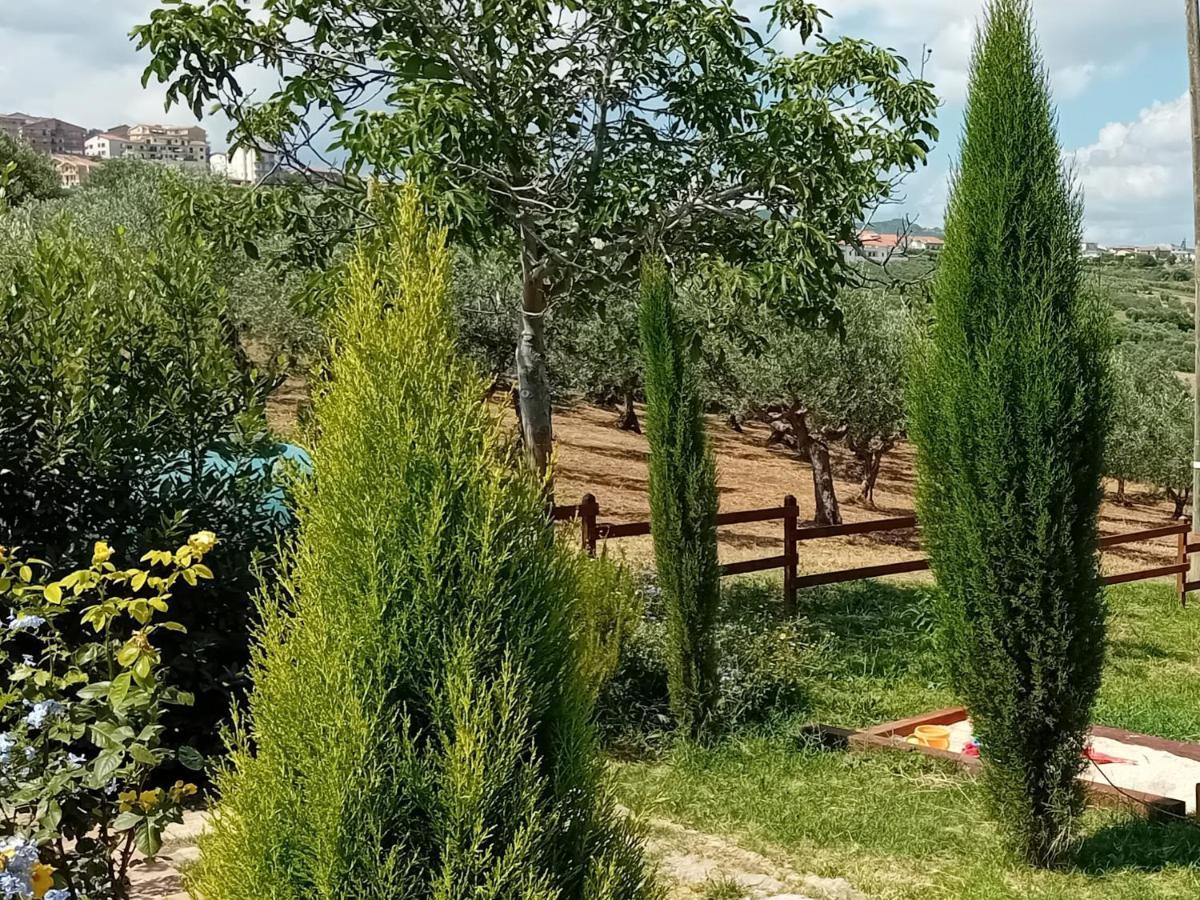 Villa Nonno Nicola Montenero di Bisaccia Buitenkant foto